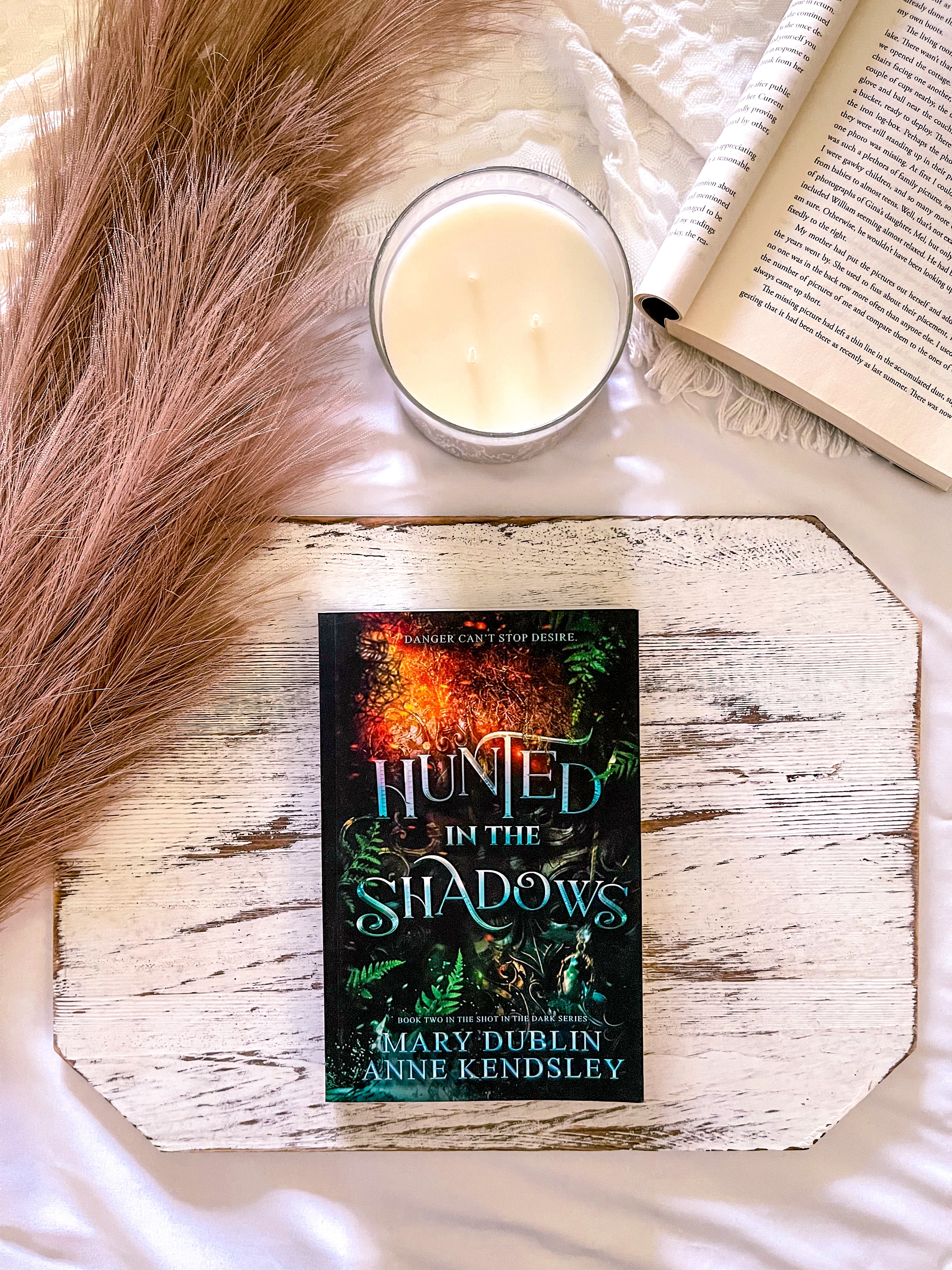 Hunted in the Shadows [Bk 2]