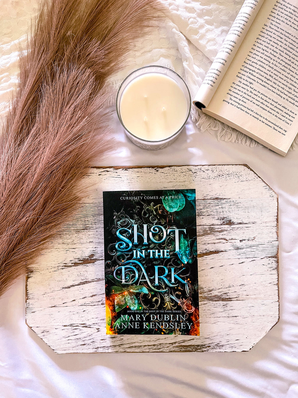 Shot in the Dark [Bk 1]